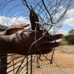 27 May 2008: The fence between Zimbabwe and South Africa being cut near Musina to allow movement across the border. (Photograph by John Moore/Getty Images)