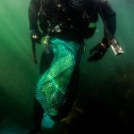 A poacher's haul after two hours of diving off Cape Town's Atlantic coast. Photo: Shaun Swingler