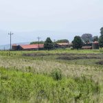 13 November 2018: The farm which community members allege is being leased to playwright Mbongeni Ngema.