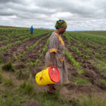 16 January 2019: Thandi Mazibuko making her way to an old borehole. Along with other residents, she has not had access to clean water since the beginning of the year.