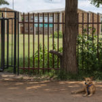 11 March 2019: Mmametlhake High School in Mpumalanga, where the incident involving Derrick Bopape took place.