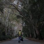 11 April 2019: A homeless man walks down a tree-lined street in one of Johannesburg’s affluent Northern suburbs.