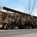 7 June 2019: A truck in Tongaat carrying sugar cane from farmers who supply Tongaat Hulett.