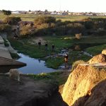 22 July 2019: Schoolgoers crossing the dangerous ravine in Uitenhage on their way to school. (Photograph by Anna Majavu)