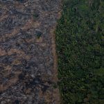 25 August 2019: The Amazon rainforest is being decimated by wildfires in the Candeias do Jamari region near Porto Velho, Brazil. (Photograph by Victor Moriyama/Getty Images)