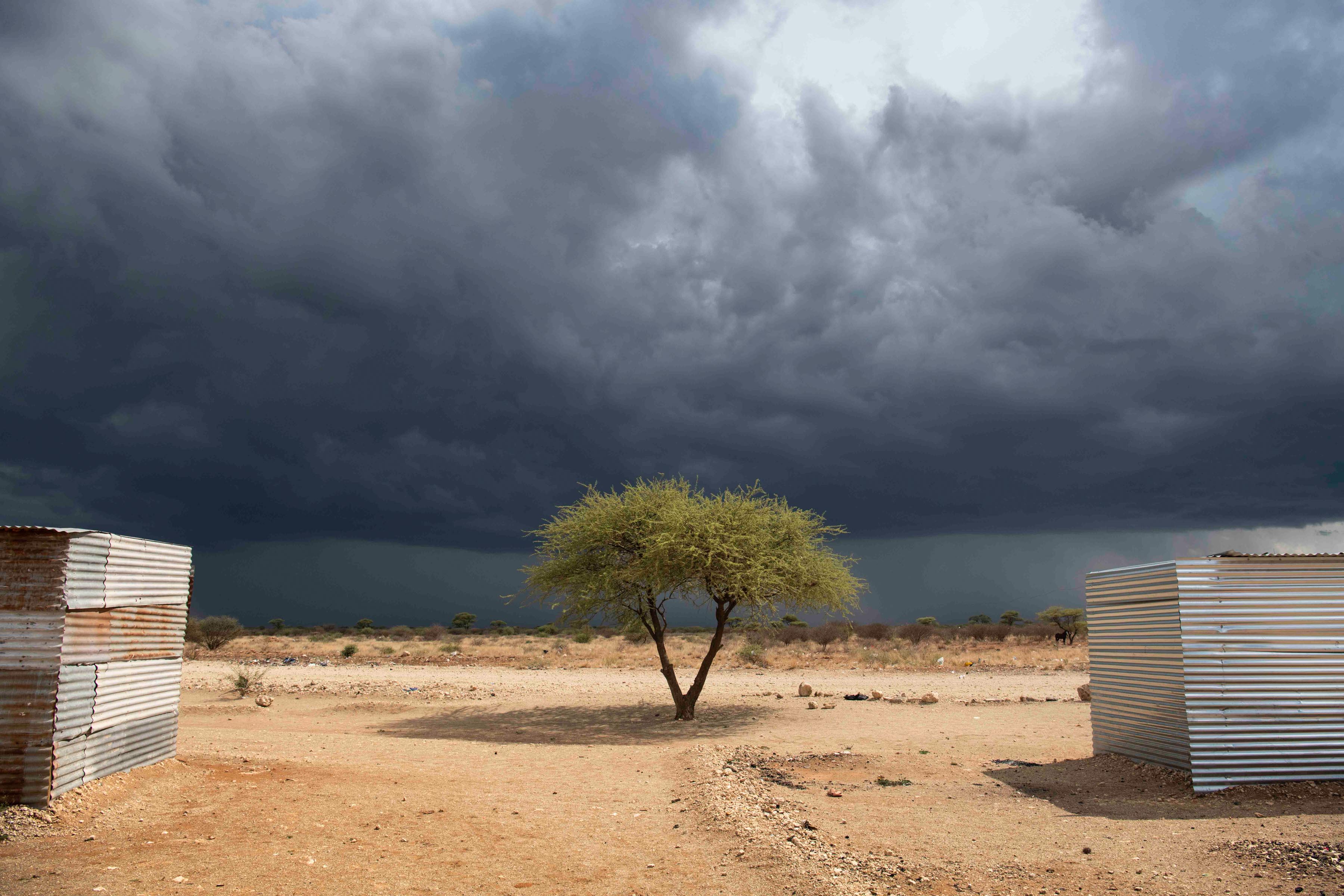 8 January 2020: Selfbou is a shack settlement outside Douglas. There are no municipal services and people are forced to use a nearby field as their toilet.