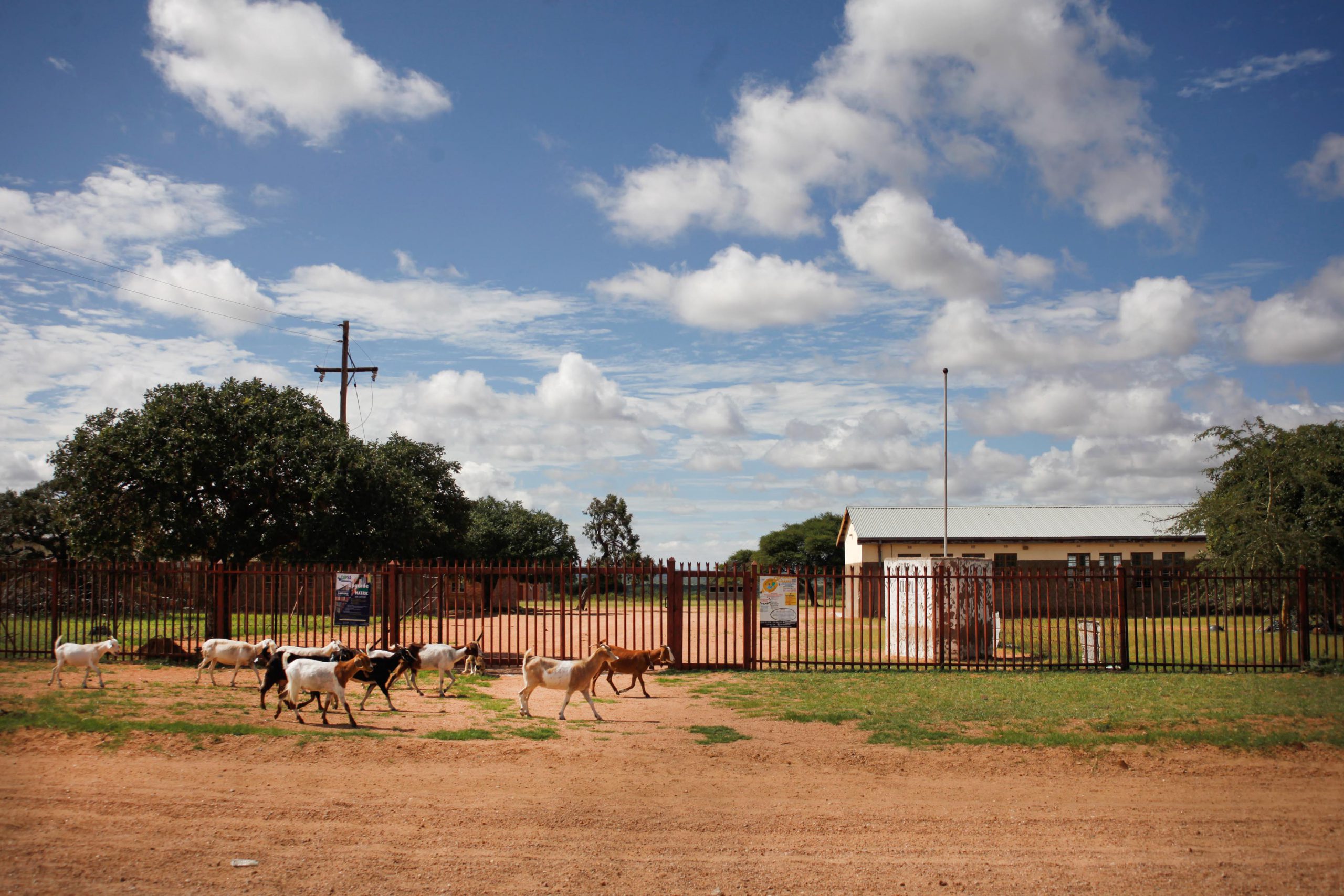 12 January 2020: While Nare Mphela was attending Seratile Secondary School, she took both the principal and the Limpopo Department of Education to the Equality Court for discrimination and harassment. She won the case. 