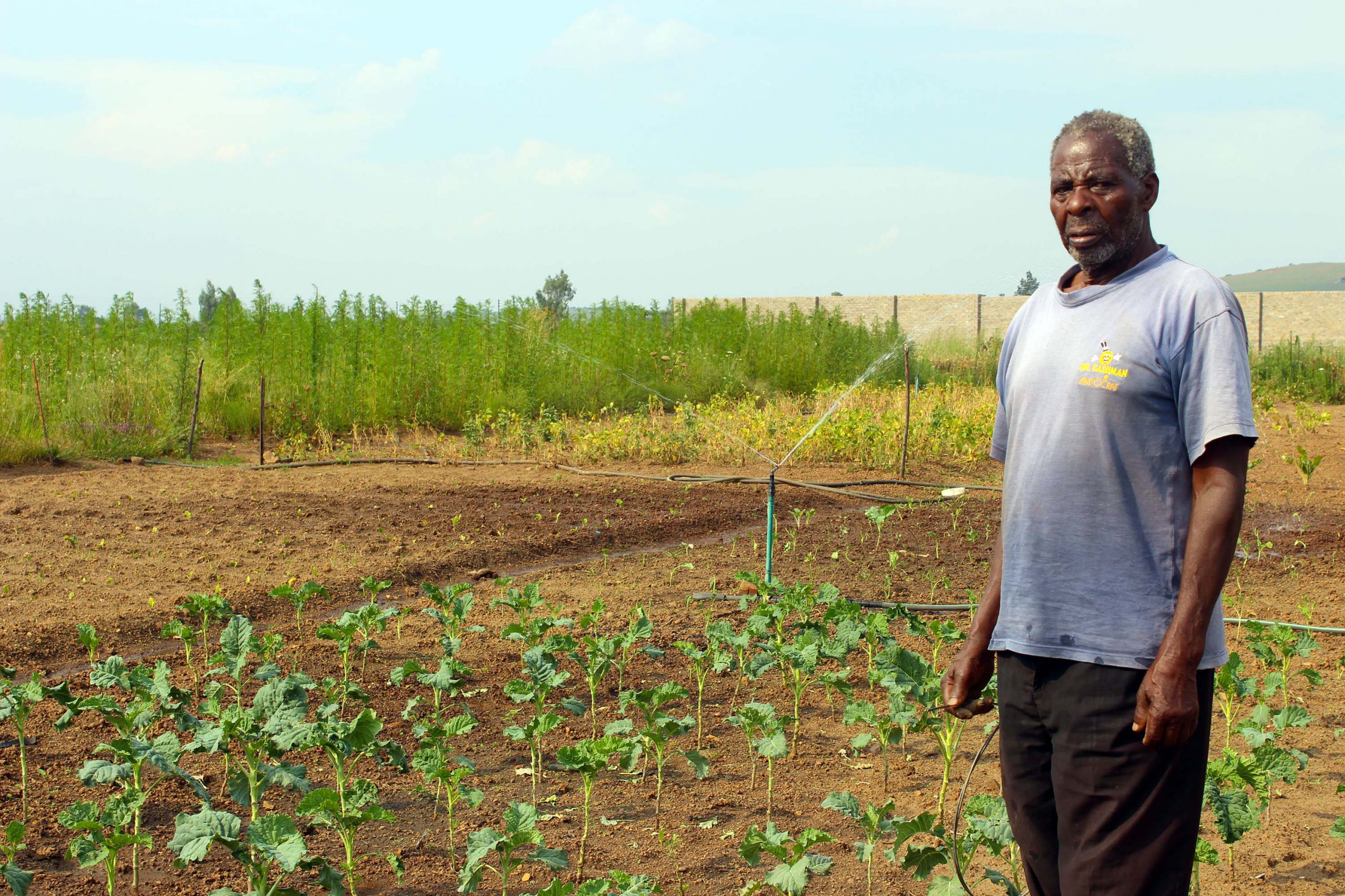 18 March 2019: Mahlomelane Johannes Mthembu on his farm about 11km from De Deur in Gauteng.  (Photograph by Funiwe Ngwenya)