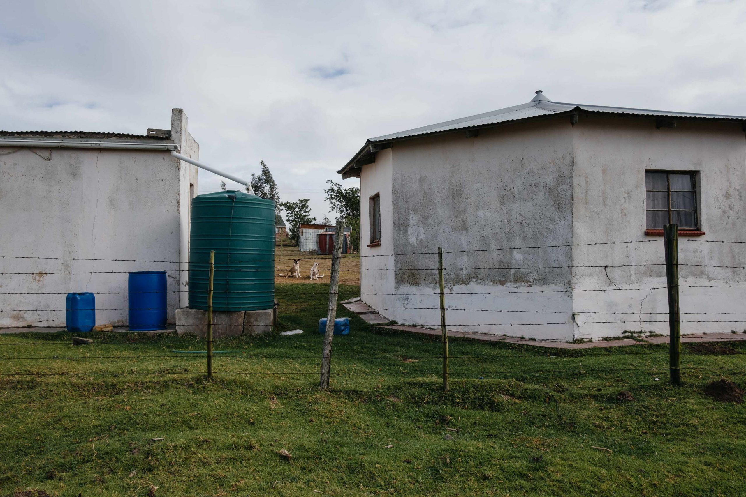 11 November 2019: A water tank designed to capture rainfall from a roof in Nqgwele Village, Ngqushwa Municipality, Eastern Cape. Rainwater harvesting is an important measure against the effects of climate change, but is often insufficient.