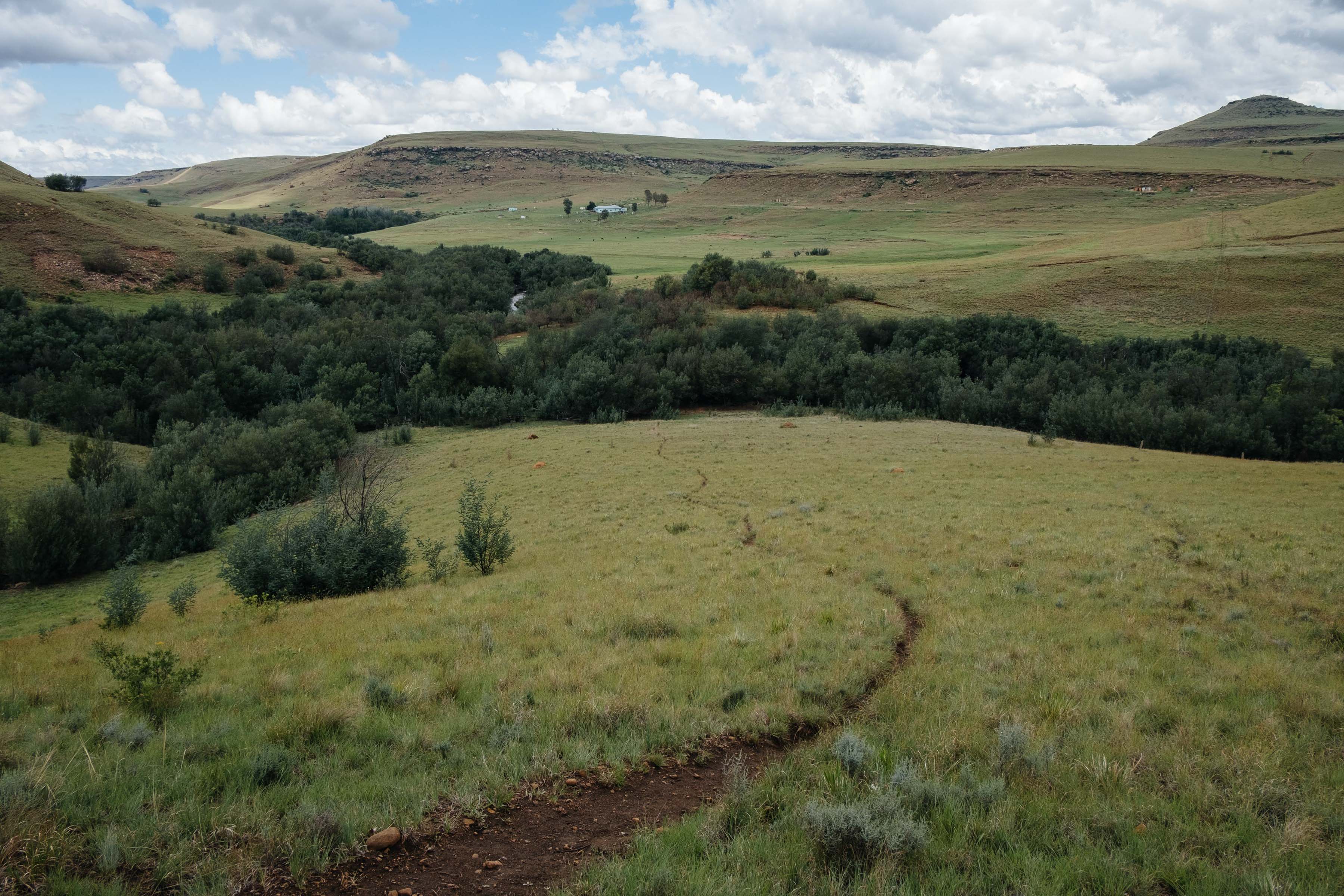 11 December 2019: Kowa has the highest rate of land restitution in the country. Black farmers now own 46% of formerly white commercial farms in the area.