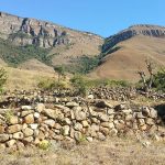 Undated: Bokoni terracing on Verlorenkloof farm on the Mpumalanga escarpment.