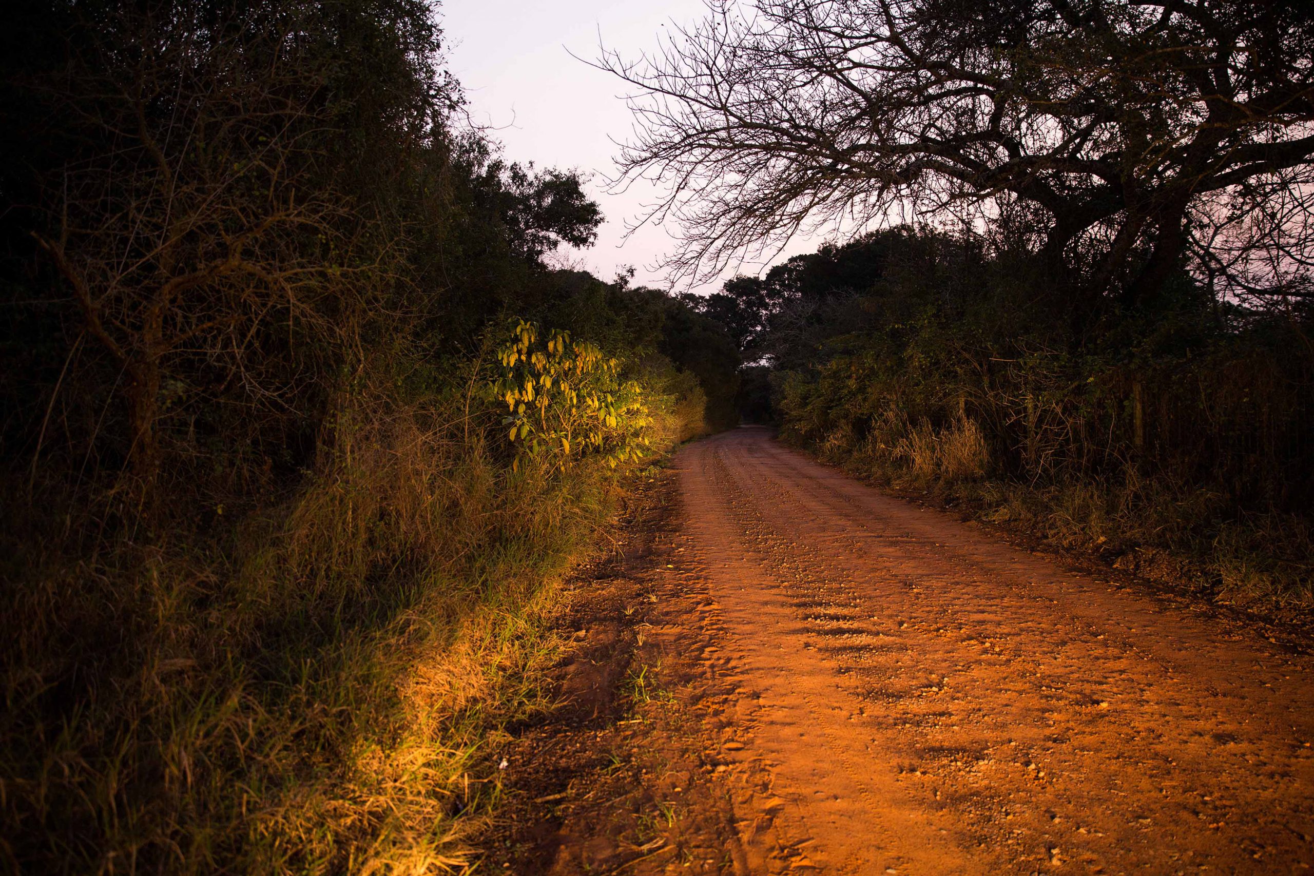 25 November 2018: Car headlights light up the rutted dirt road below Clare Stewart’s former homestead on the outskirts of Manguzi. Stewart was abducted near her home on the morning of 10 November 1993. 