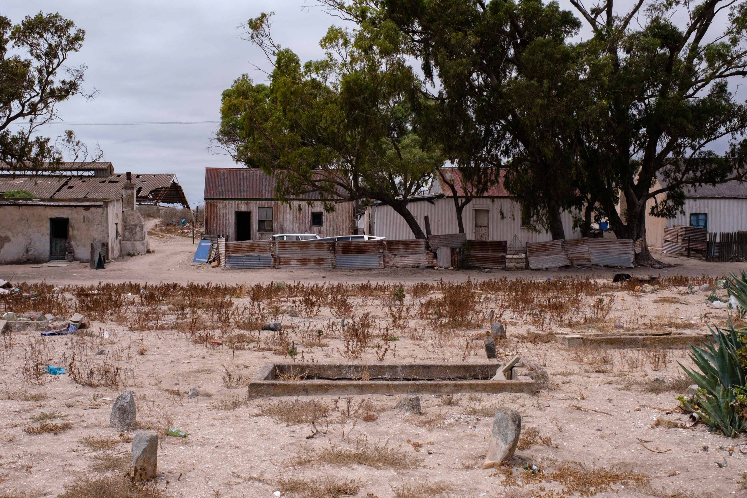 22 January 2020: The ruins of the old fish-canning factory can be seen from the old cemetery. Property developer West Coast Miracles has threatened the people living in the homes in the foreground with relocation.