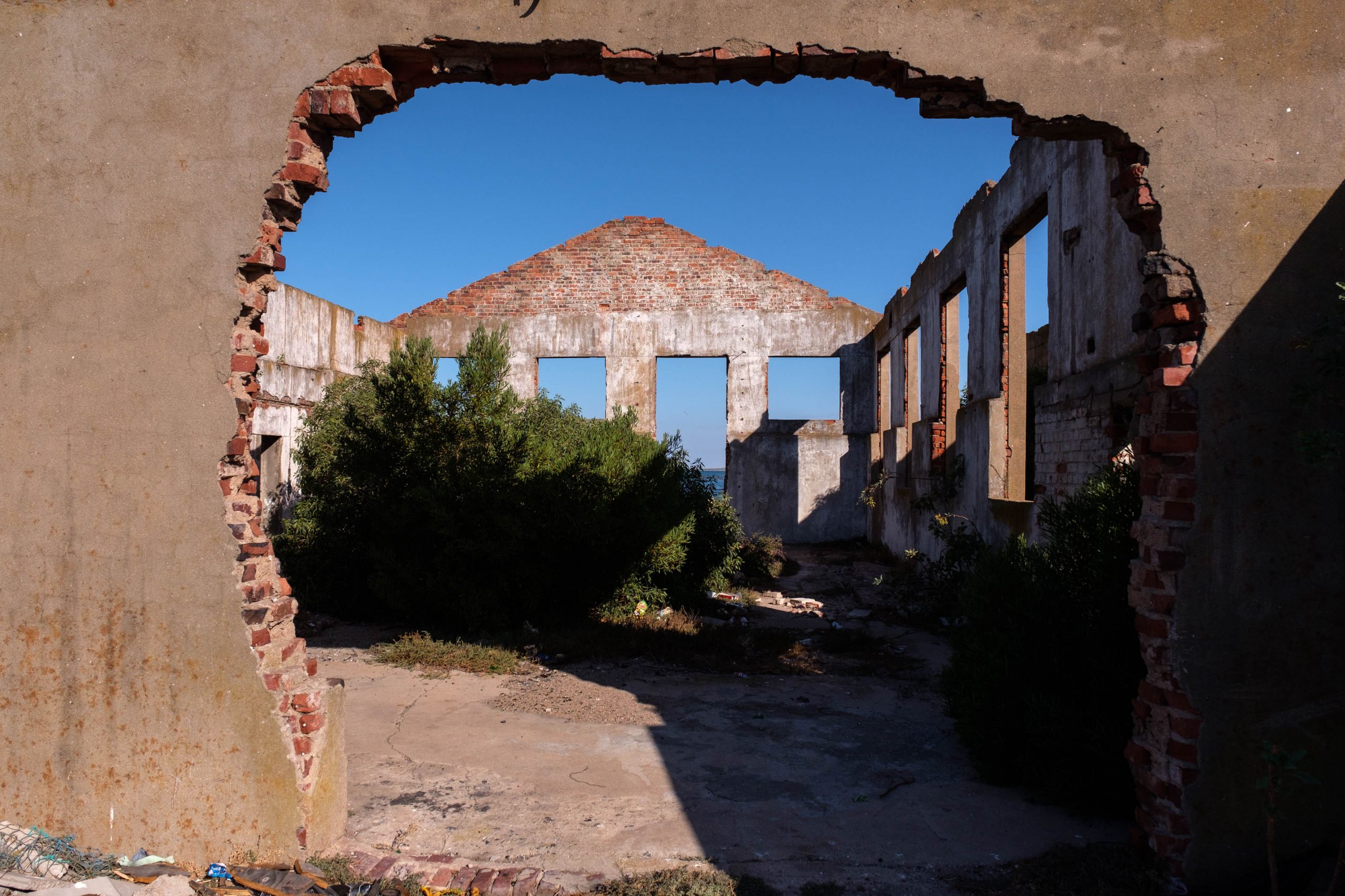 21 January 2020: Vegetation has begun to grow in the more exposed parts of the ruins of the old fish-canning factory in Steenberg’s Cove.