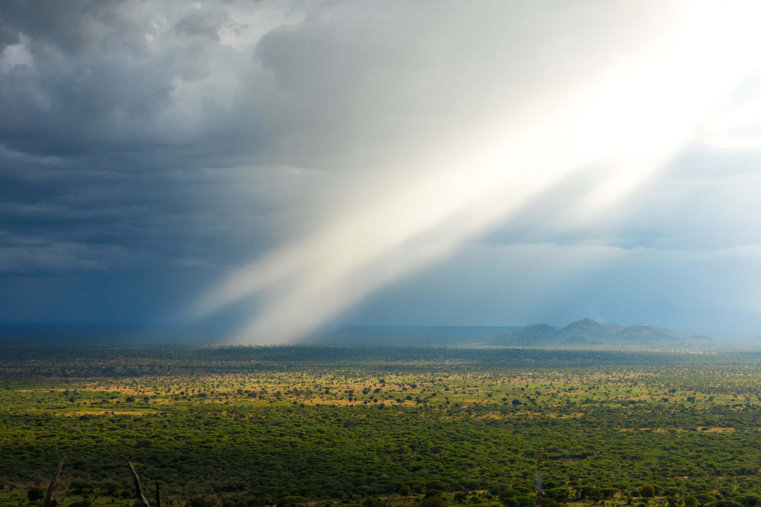 21 November 2019: View from Lotuko village in South Sudan. Large parts of Africa have been erroneously classified as deforested but are in fact grasslands. (Photograph by Eric Lafforgue/ Art in All of Us/ Corbis via Getty Images)