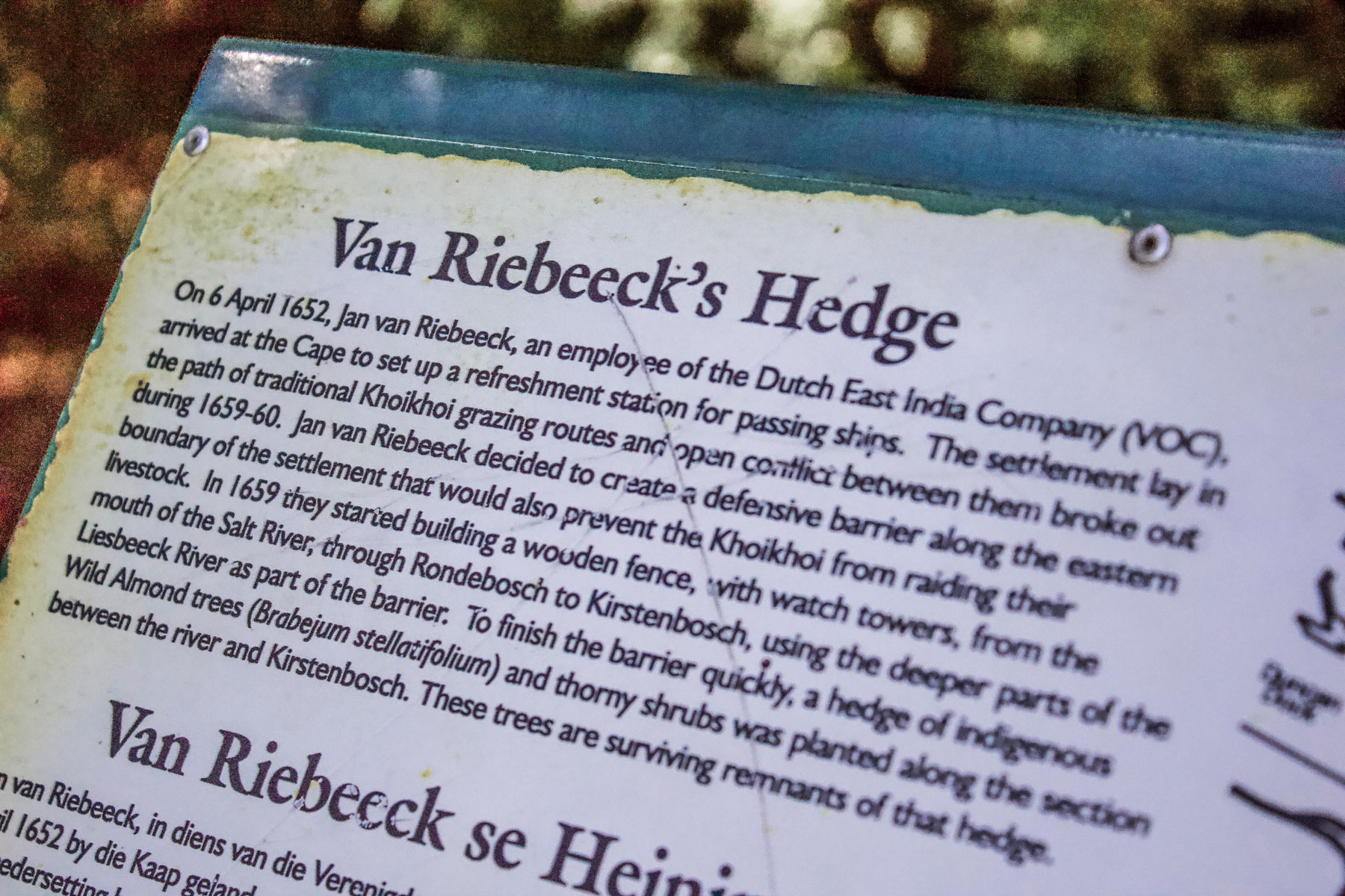 9 March 2020: The marker for Van Riebeeck’s Hedge, which details the historical significance of the hedge in relation to the settlement of Cape Town.