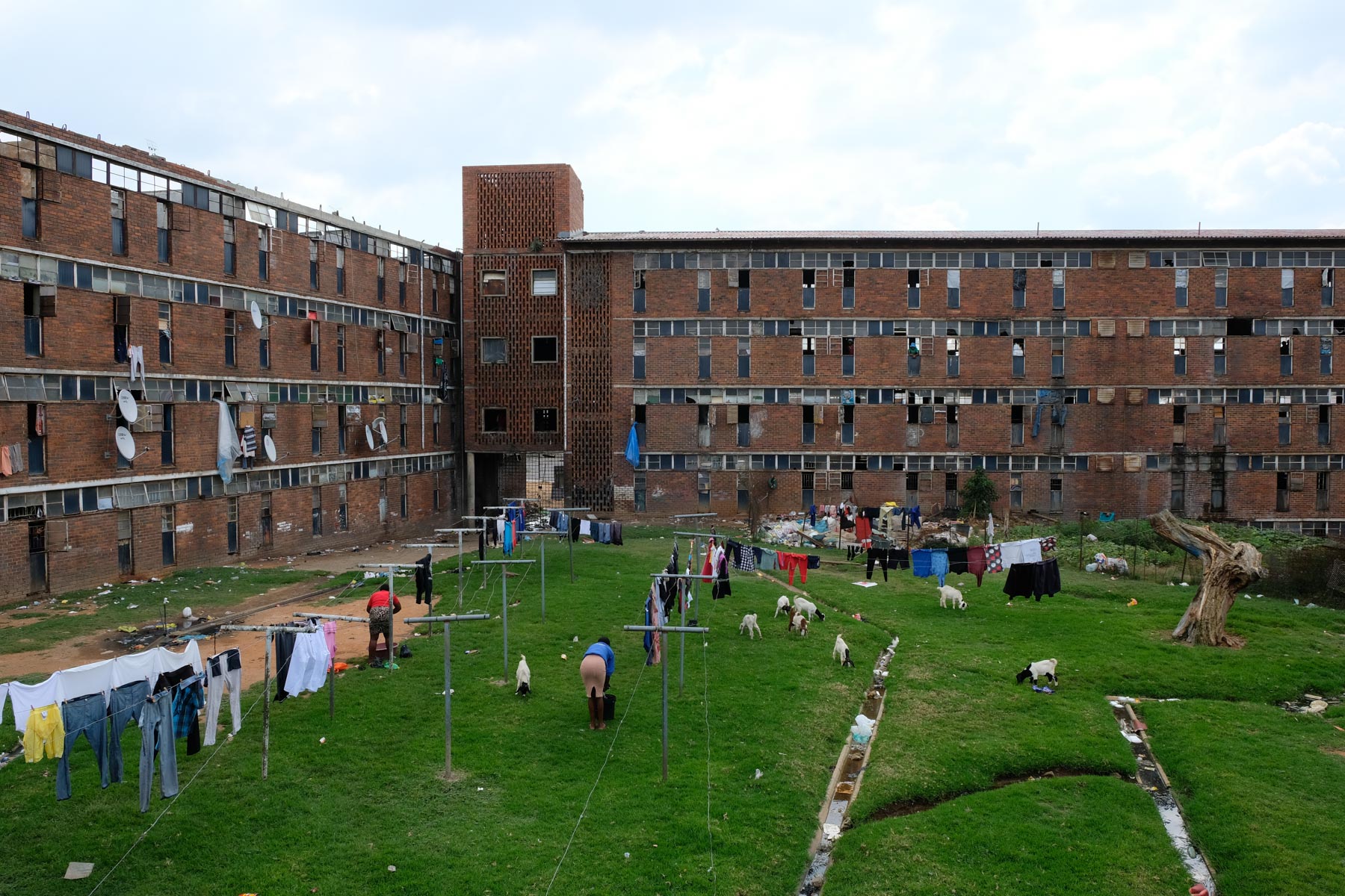 1 April 2020: The Madala men’s hostel in Alex. 