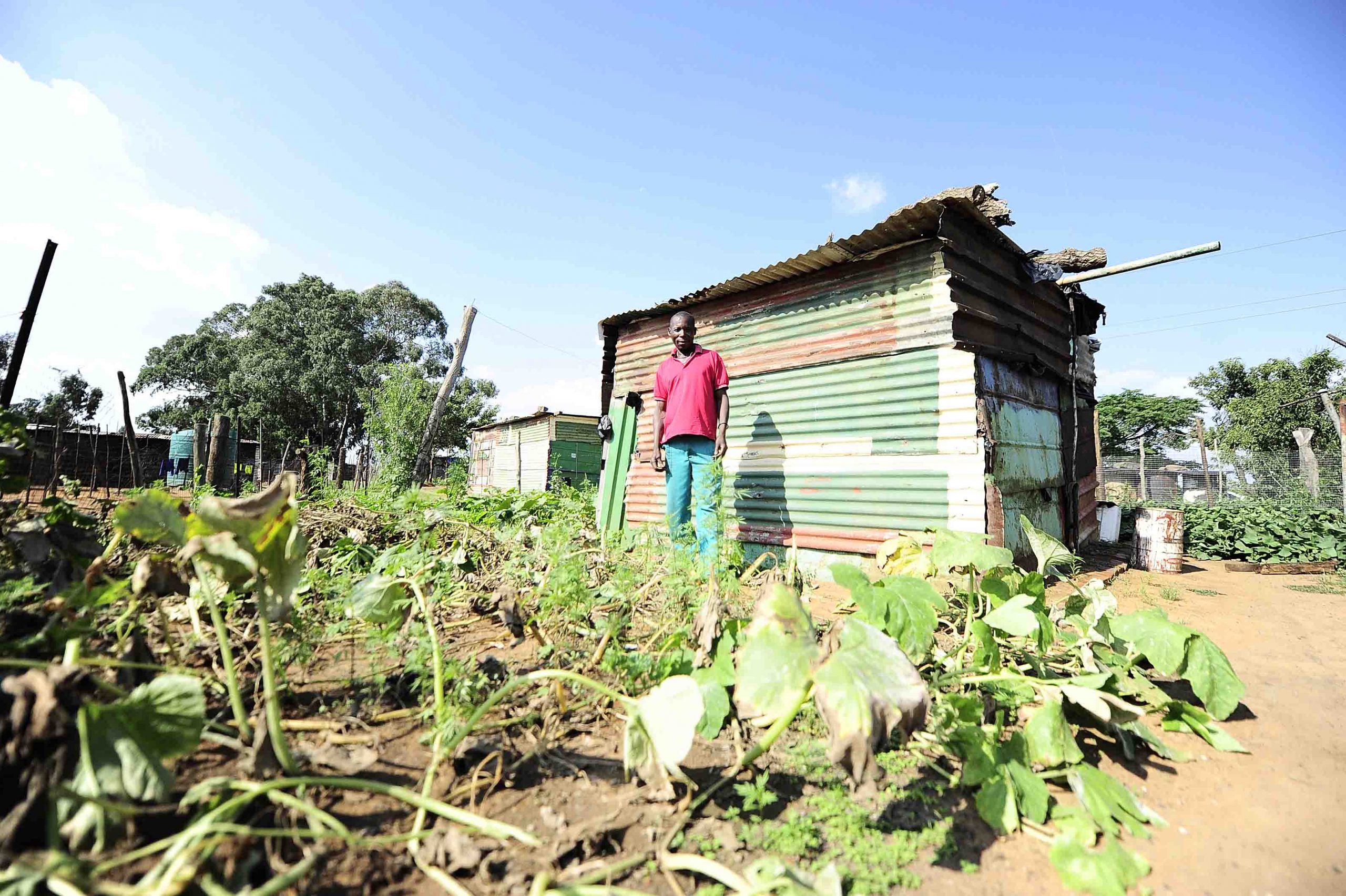 18 March 2016: A resident in a settlement in Mpumalanga where crops struggle to grow because of severe air pollution. (Photograph by Thulani Mbhele/ Sowetan/ Gallo Images) 
