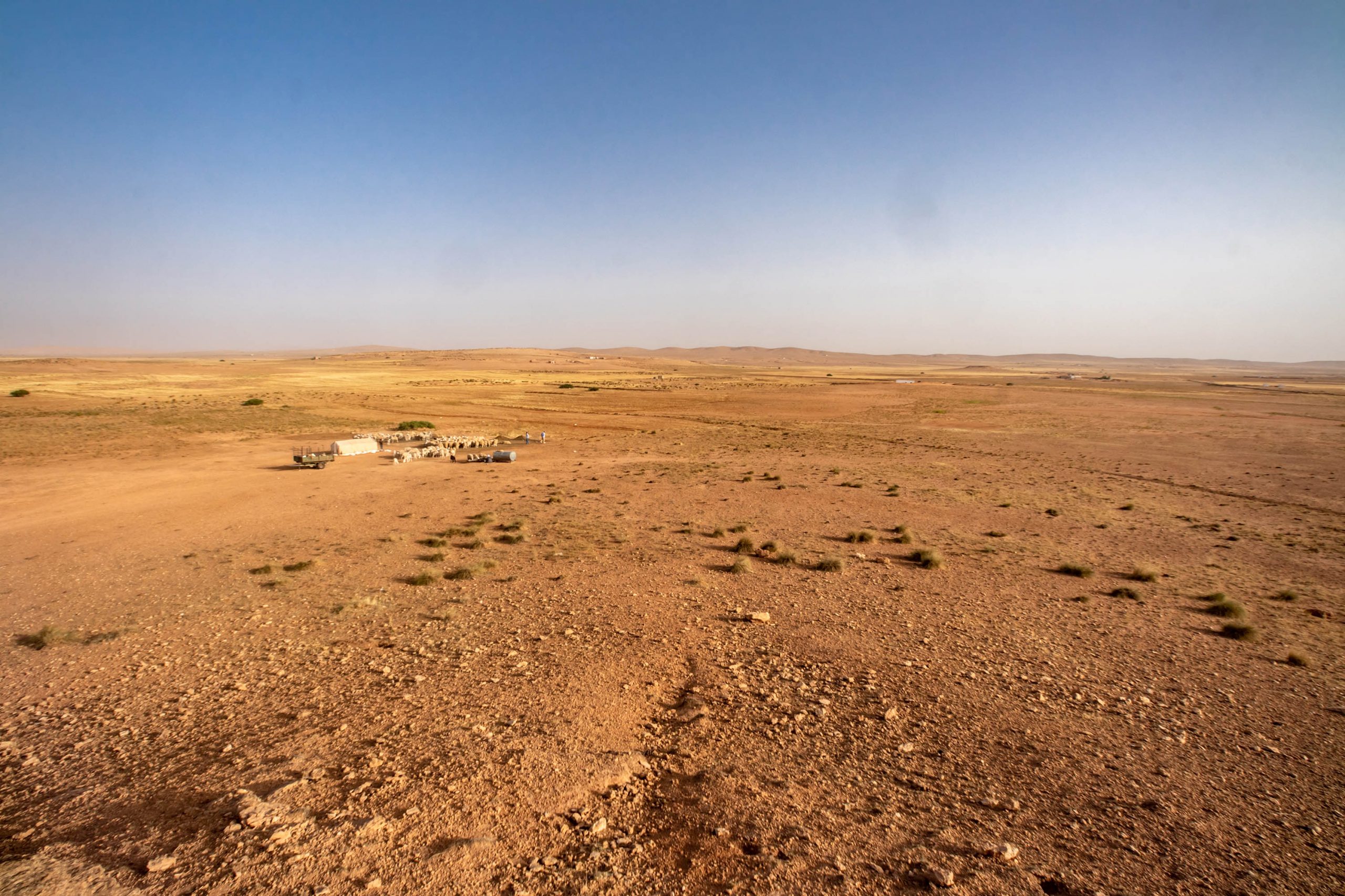 28 June 2020: The Algerian steppe between the verdant Mediterranean coast to the north and the unforgiving Sahara Desert to the south. (Photograph by Abderazak HadjTahar)