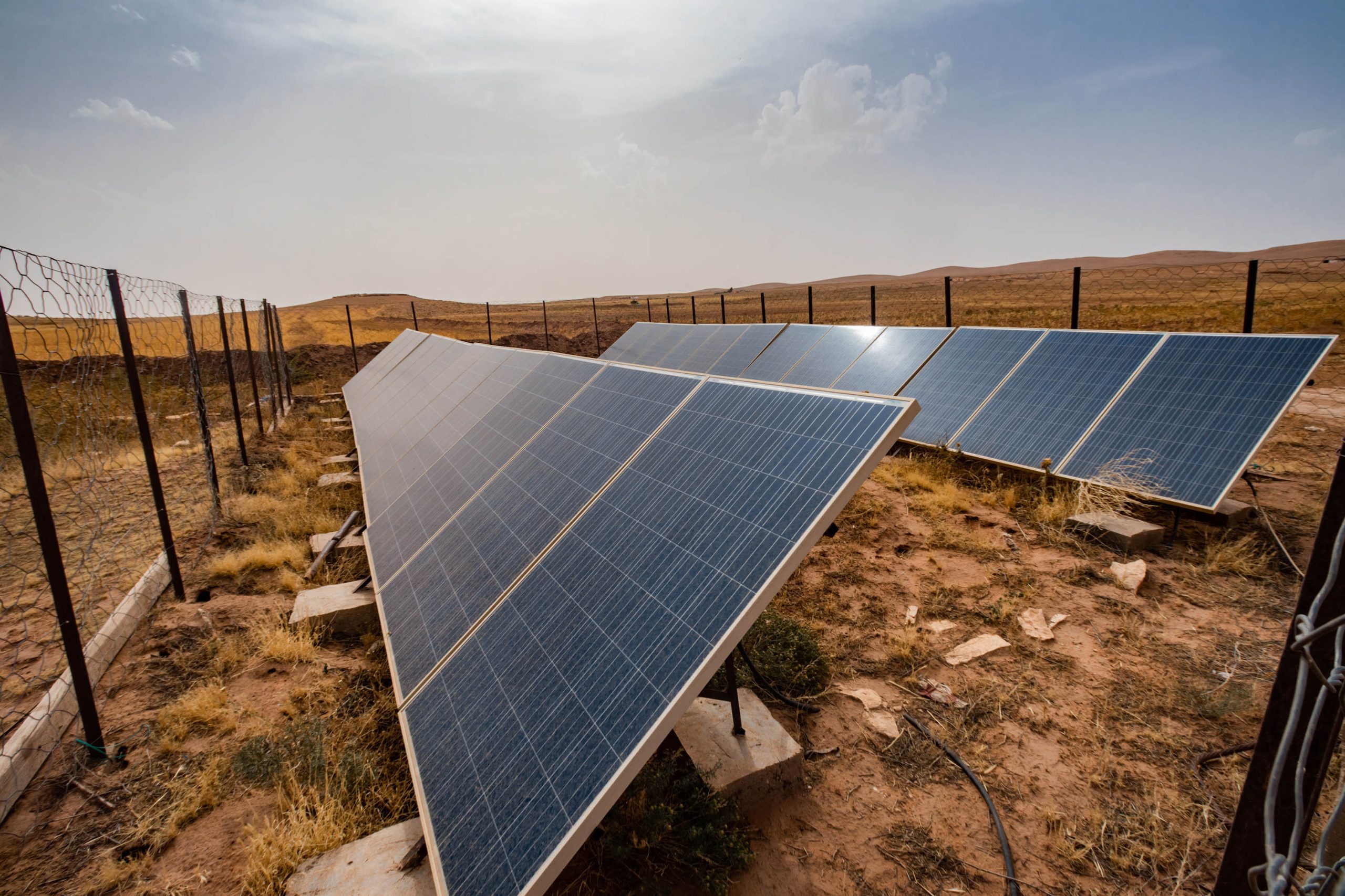 27 June 2020: An investor financed the installation of solar panels to power the well Mohamed Dahmoune uses to irrigate his lucerne fields. (Photograph by Abderazak HadjTahar)